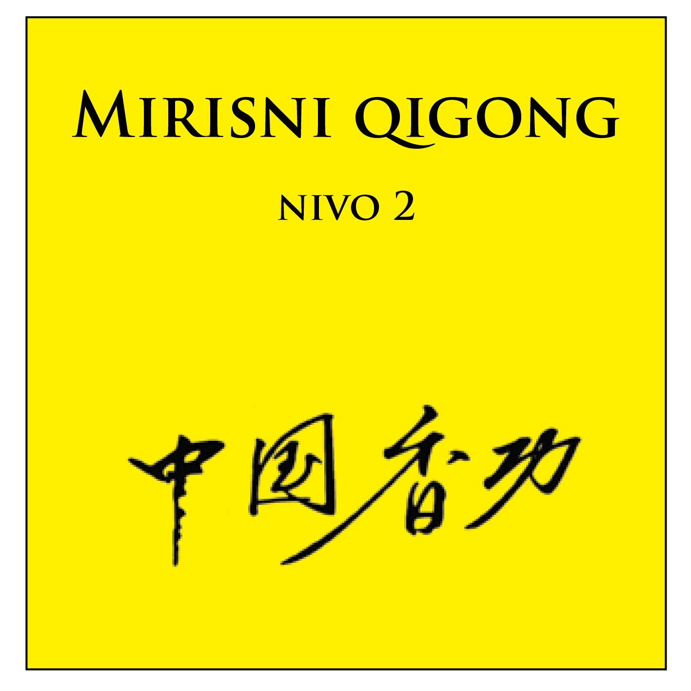 Mirisni Qigong nivo 2 DVD