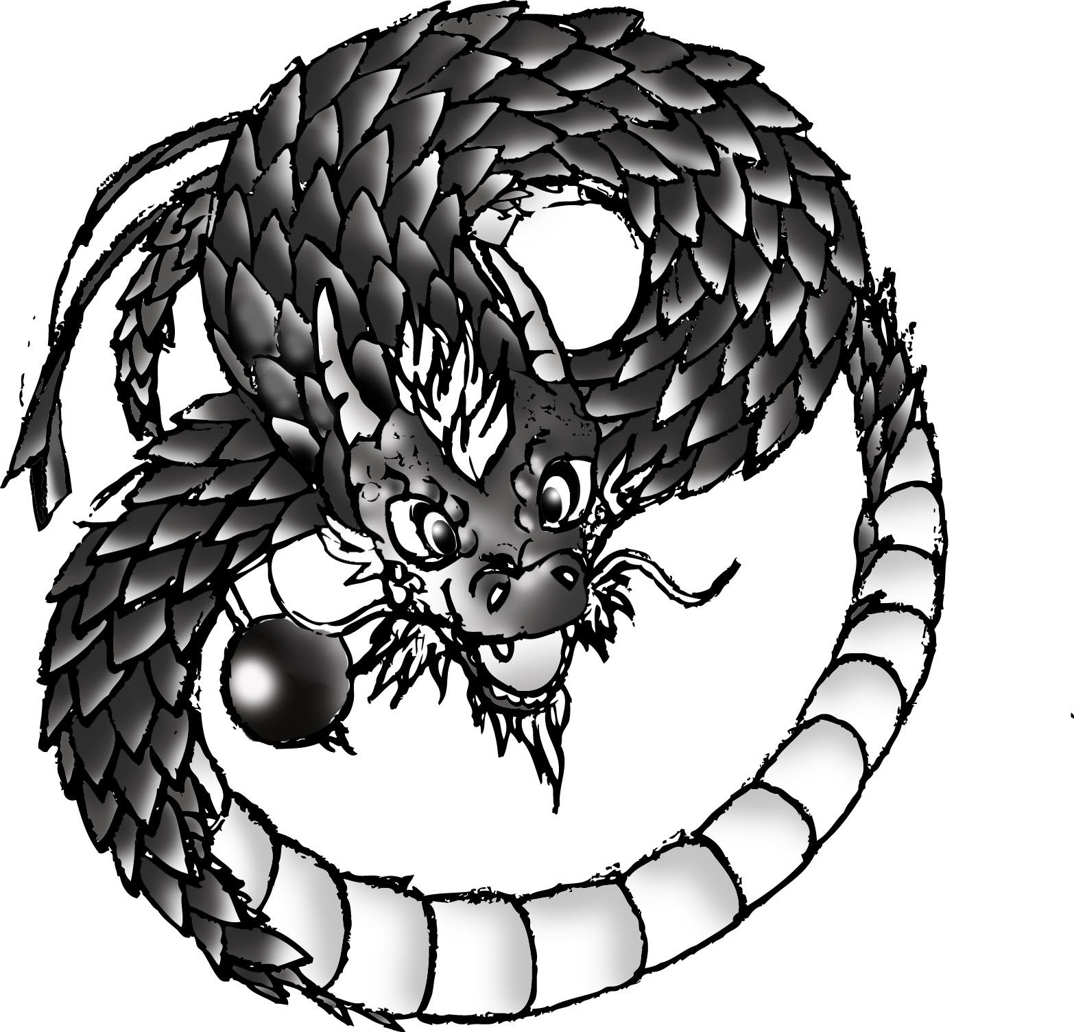 jin jang zmaj